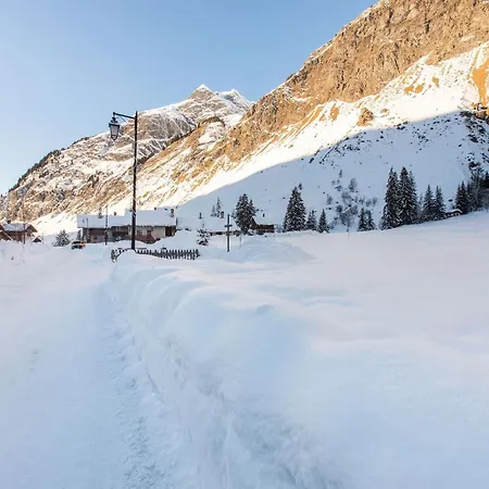 Alpine With And Pets La Plagne