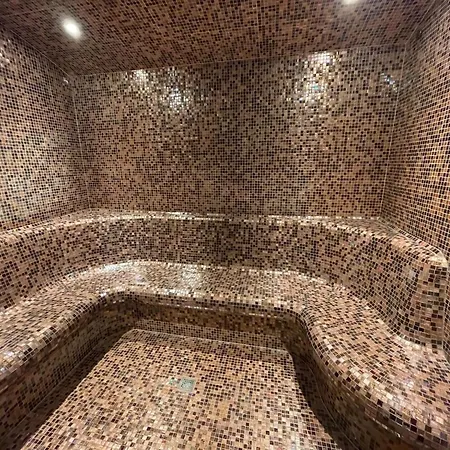 Alpine With And Pets * La Plagne