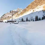 Alpine With And Pets La Plagne