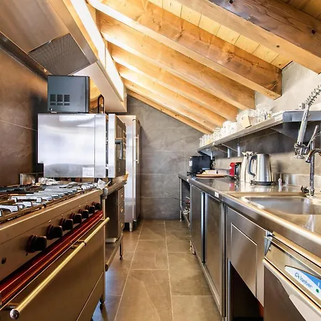 Alpine With And Pets Chalet La Plagne