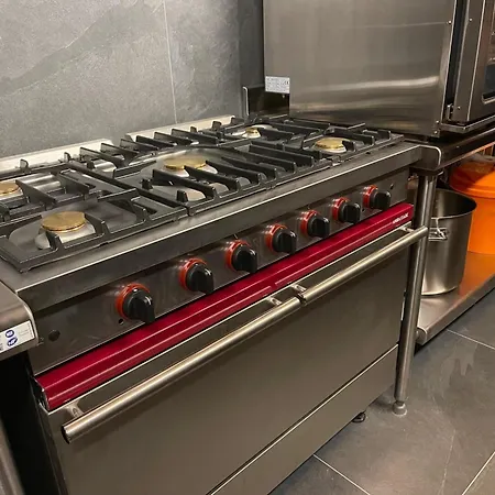 Alpine With And Pets Chalet *