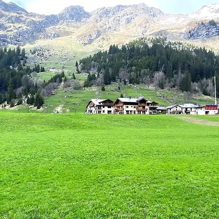 Chalet Alpine With And Pets *