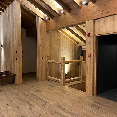 Alpine With And Pets Chalé La Plagne