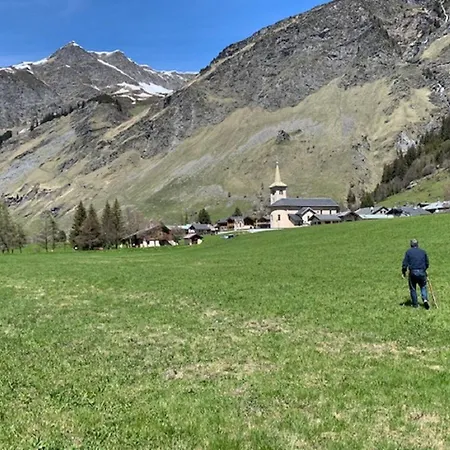 Chalé Alpine With And Pets La Plagne