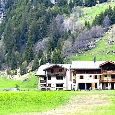 Alpine With And Pets