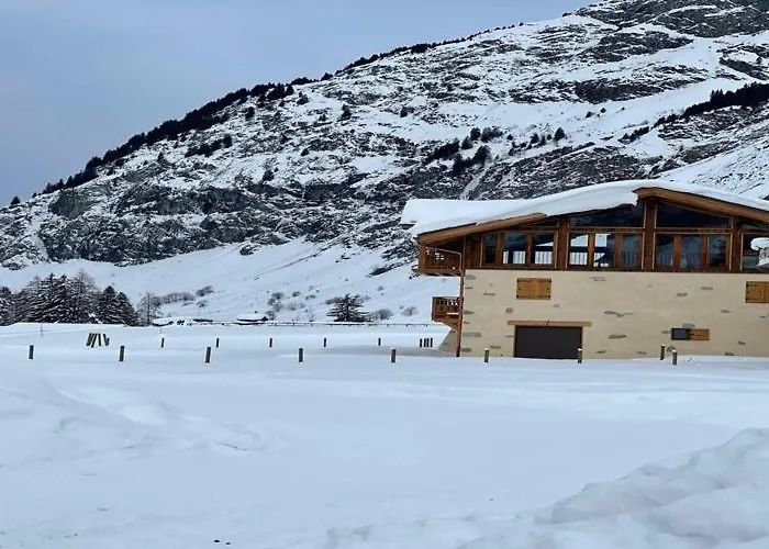 Alpine With And Pets * La Plagne