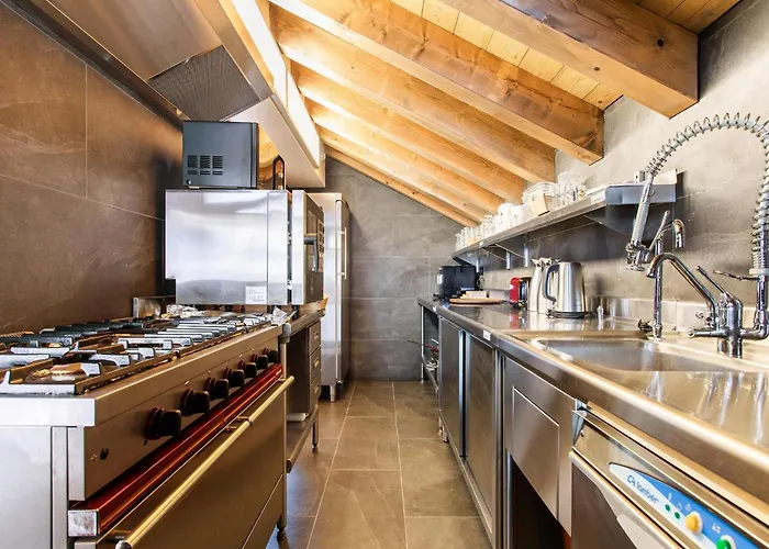 Alpine With And Pets Chalet La Plagne