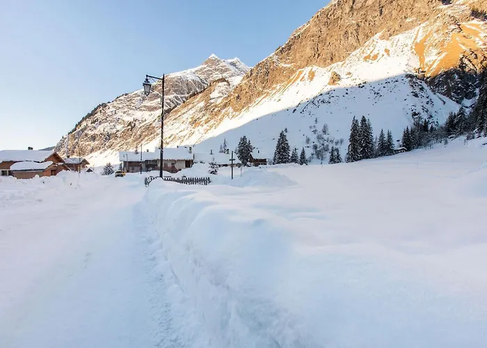 Alpine With And Pets La Plagne