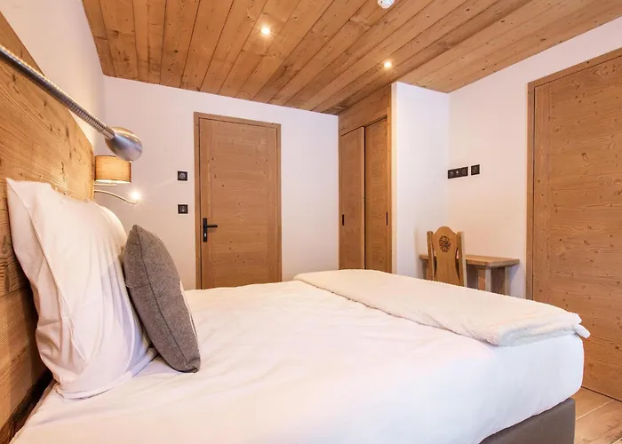 Alpine With And Pets Chalet La Plagne