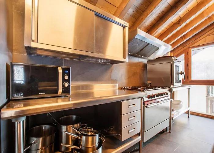 Alpine With And Pets La Plagne