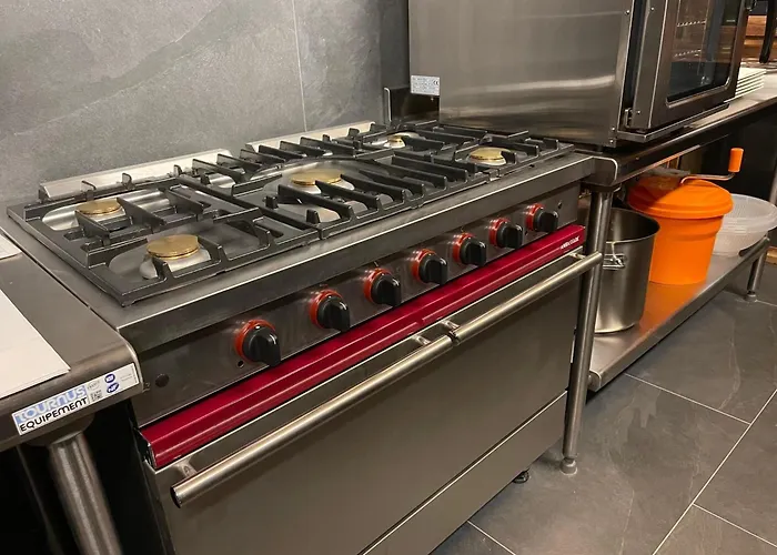 Alpine With And Pets Chalet *