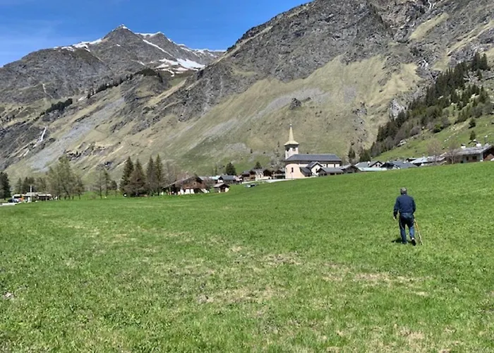 Chalet Alpine With And Pets La Plagne